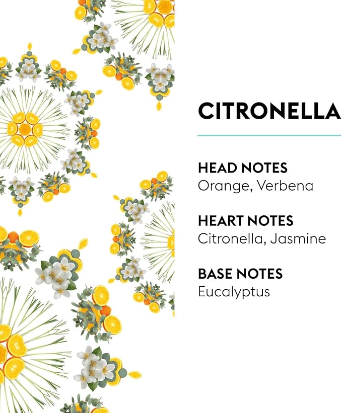 Maison Berger - Citronella - Lampe Berger Fragrance Refill Oil for Home Diffusers - Luxury Air Freshener with Orange, Verbena & Eucalyptus Notes - 16.9 Fl Oz (500ml)