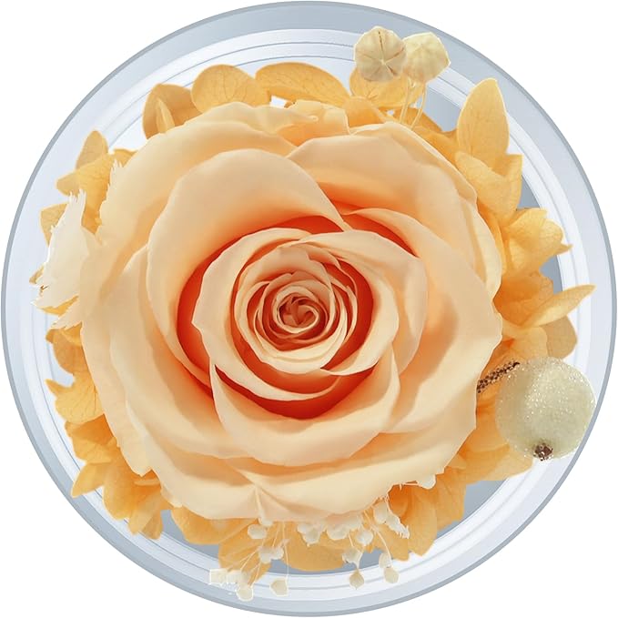 Sunia Preserved Flower Rose Gift for Women - Mother's Day Birthday Gifts for Mom Wife Grandma, Glass Angel Figurines Forever Real Roses Gifts for Her Valentine Day Thanksgiving﻿ (Champagne)