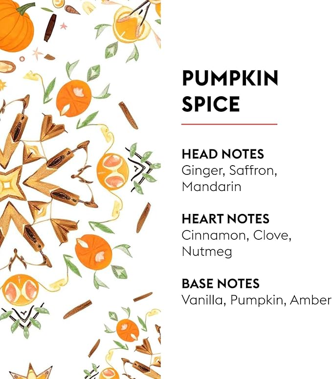 Maison Berger Pumpkin Spice Refill – 500ml (16.9 Fl Oz) Home Fragrance Oil for Lampe Berger Diffusers Cinnamon, Clove, and Vanilla – Limited Edition Air Purifier for Halloween and Holidays