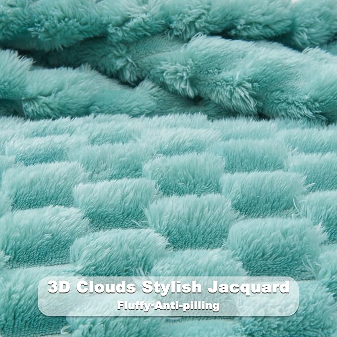 NEWCOSPLAY Super Soft Queen Blanket Sage Green Premium Silky Flannel Fleece 3D Clouds Stylish Jacquard Lightweight Bed Blanket All Season Use 350GSM (Sage Green, Queen(90"x90"))