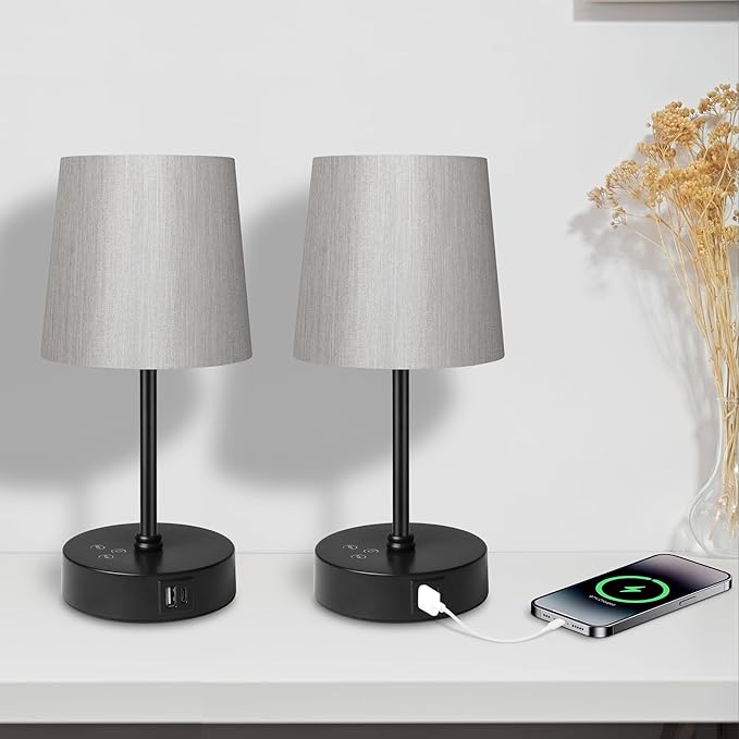 Ascher Small Bedside Table lamp Set of 2, RGB Color Changing Lamps, 3 Color Temperatures Nightstand Lamps with USB C and A Ports, Touch Dimmable Desk Lamp for Bedroom Living Room(Grey Shade)