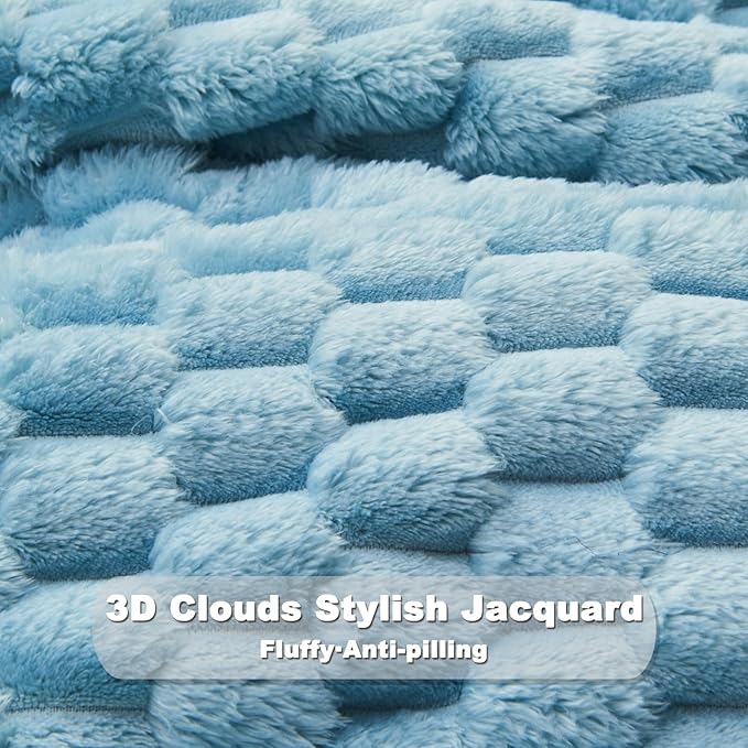 NEWCOSPLAY Super Soft Queen Blanket Blue Premium Silky Flannel Fleece 3D Clouds Stylish Jacquard Lightweight Bed Blanket All Season Use 350GSM (Blue, Queen(90"x90"))